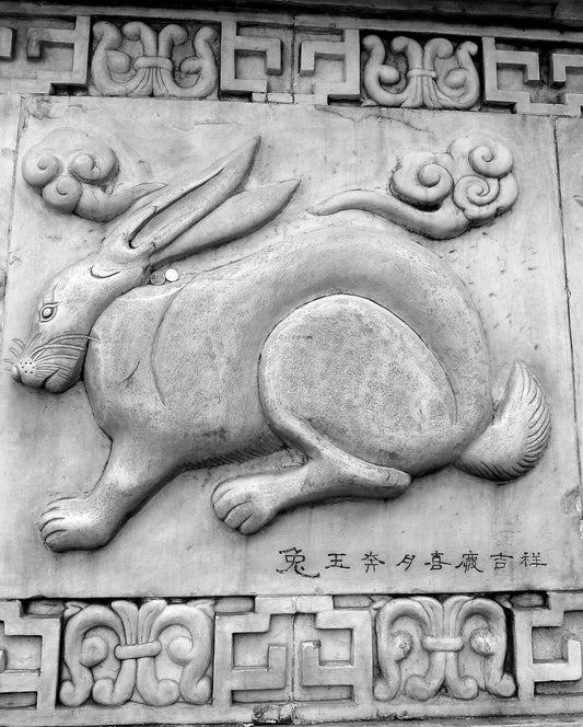 Your 2024 Horoscope in the Year of the Dragon if You are a Rabbit