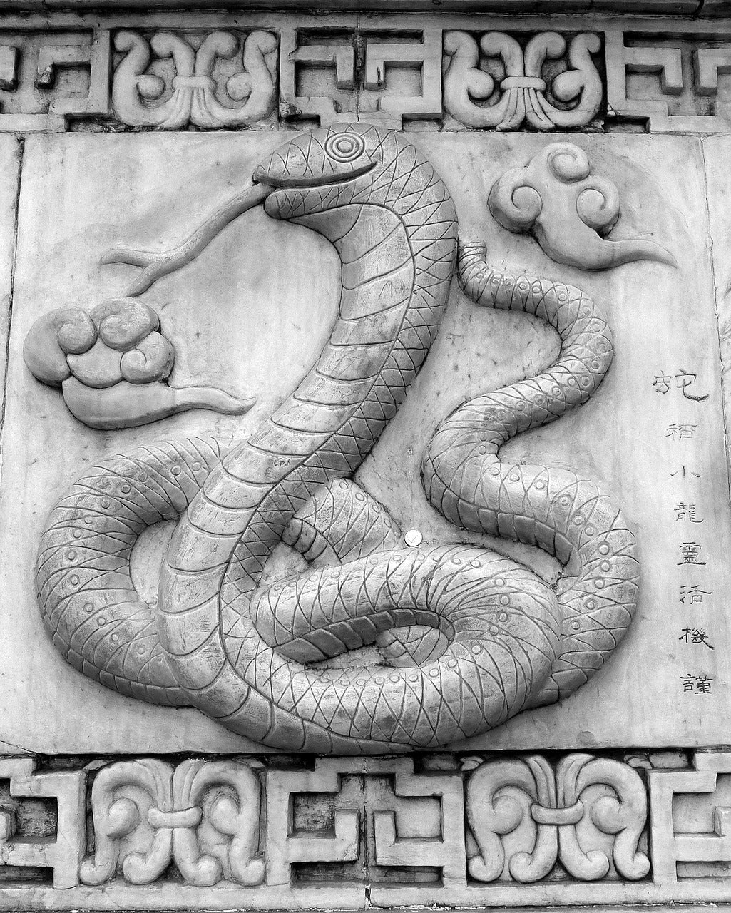 Your 2024 Horoscope in the Year of the Dragon if You are a Snake