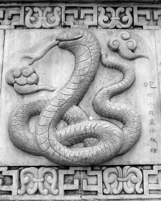 Your 2024 Horoscope in the Year of the Dragon if You are a Snake